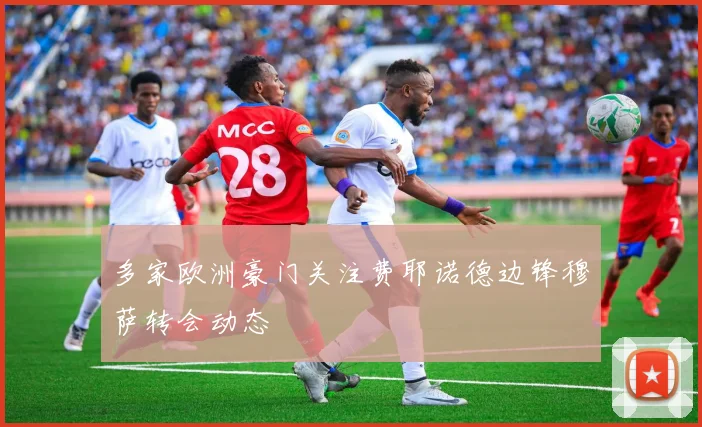 多家欧洲豪门关注费耶诺德边锋穆萨转会动态