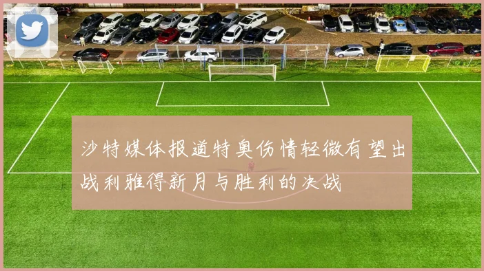 沙特媒体报道特奥伤情轻微有望出战利雅得新月与胜利的决战