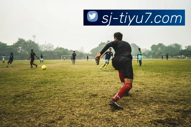 APP界面展示
